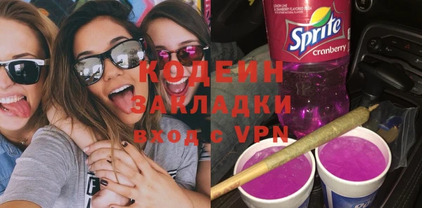 ПСИЛОЦИБИНОВЫЕ ГРИБЫ Арсеньев